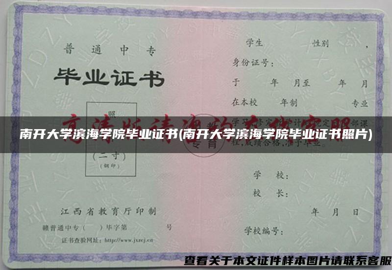 南开大学滨海学院毕业证书(南开大学滨海学院毕业证书照片)