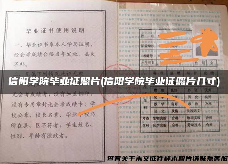 信阳学院毕业证照片(信阳学院毕业证照片几寸)