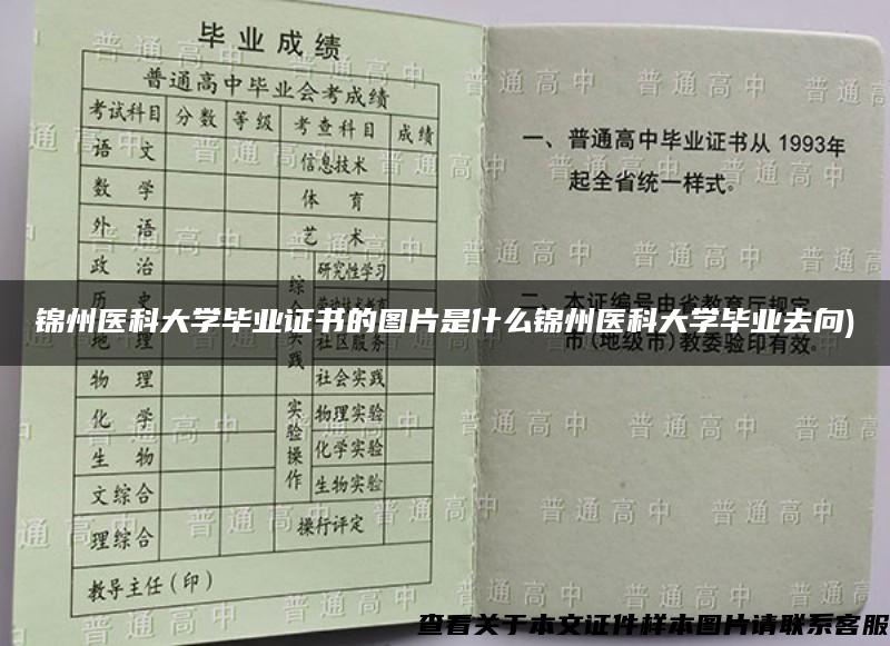 锦州医科大学毕业证书的图片是什么锦州医科大学毕业去向)