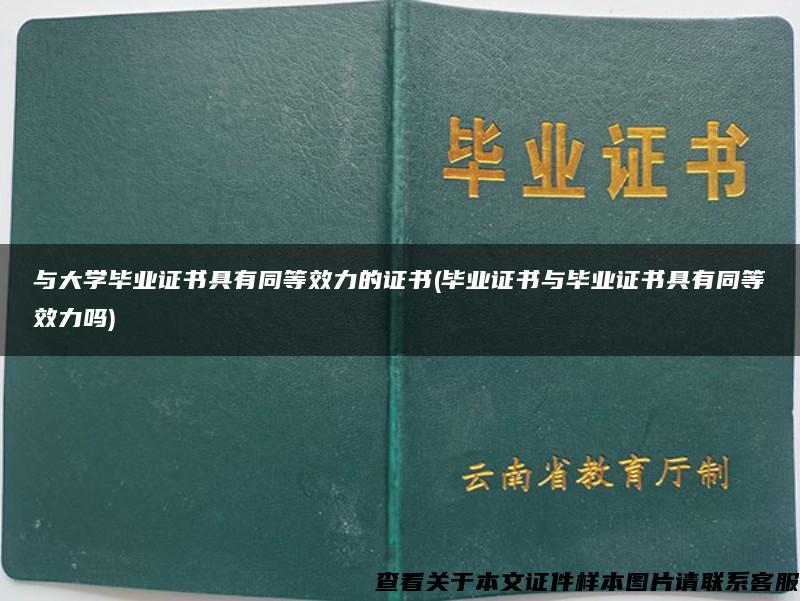 与大学毕业证书具有同等效力的证书(毕业证书与毕业证书具有同等效力吗)