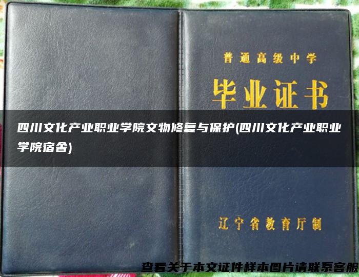 四川文化产业职业学院文物修复与保护(四川文化产业职业学院宿舍)