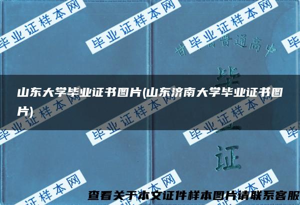 山东大学毕业证书图片(山东济南大学毕业证书图片)