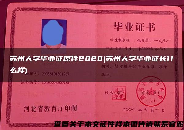 苏州大学毕业证原件2020(苏州大学毕业证长什么样)