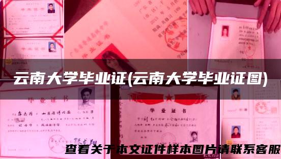 云南大学毕业证(云南大学毕业证图)