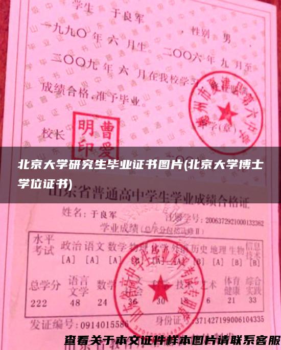 北京大学研究生毕业证书图片(北京大学博士学位证书)