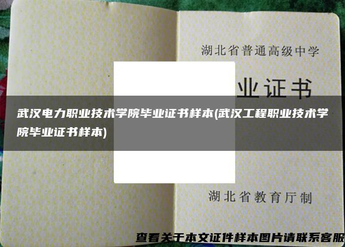 武汉电力职业技术学院毕业证书样本(武汉工程职业技术学院毕业证书样本)