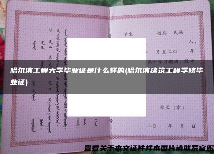 哈尔滨工程大学毕业证是什么样的(哈尔滨建筑工程学院毕业证)