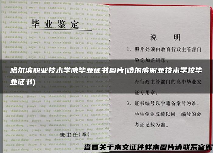 哈尔滨职业技术学院毕业证书图片(哈尔滨职业技术学校毕业证书)