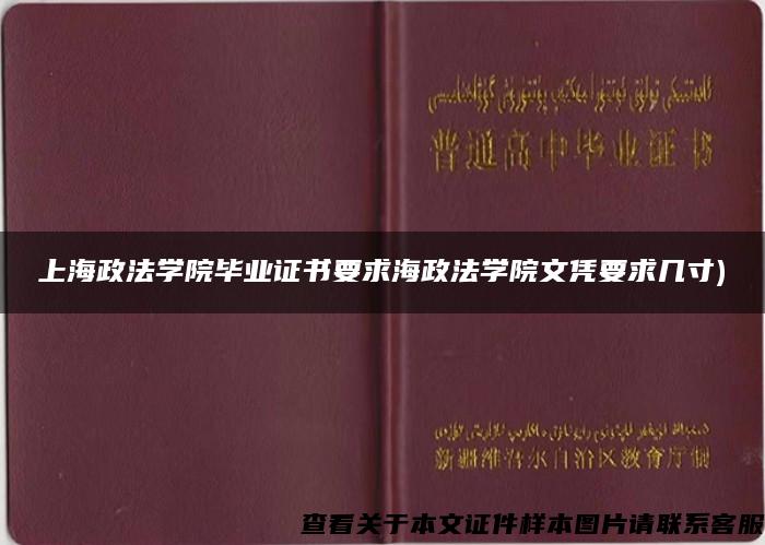 上海政法学院毕业证书要求海政法学院文凭要求几寸)