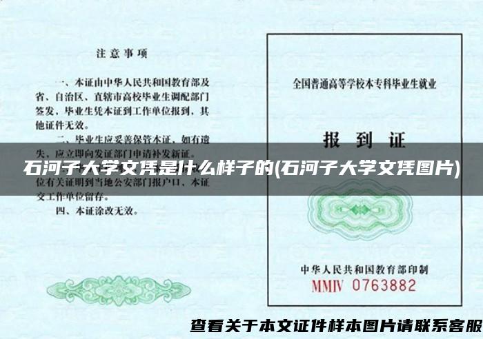 石河子大学文凭是什么样子的(石河子大学文凭图片)