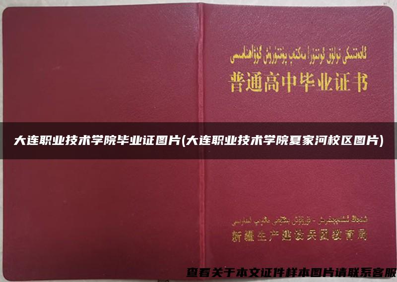 大连职业技术学院毕业证图片(大连职业技术学院夏家河校区图片)