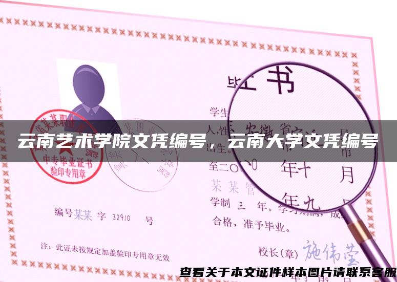 云南艺术学院文凭编号，云南大学文凭编号