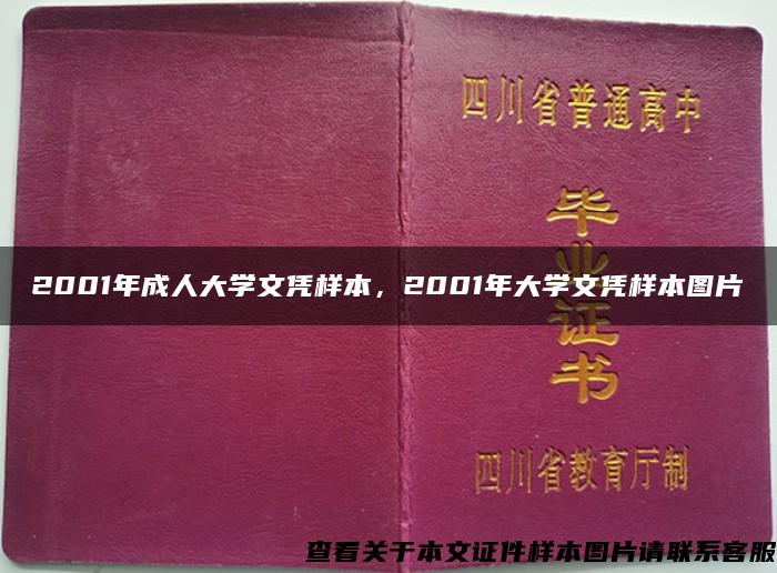 2001年成人大学文凭样本，2001年大学文凭样本图片