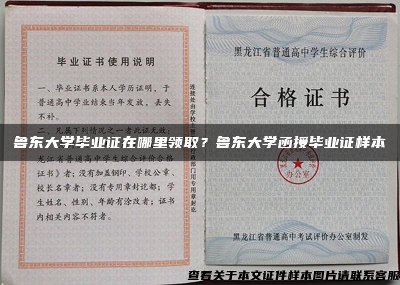 鲁东大学毕业证在哪里领取？鲁东大学函授毕业证样本