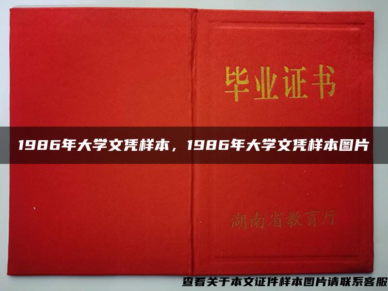 1986年大学文凭样本，1986年大学文凭样本图片