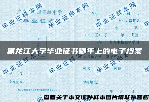 黑龙江大学毕业证书哪年上的电子档案