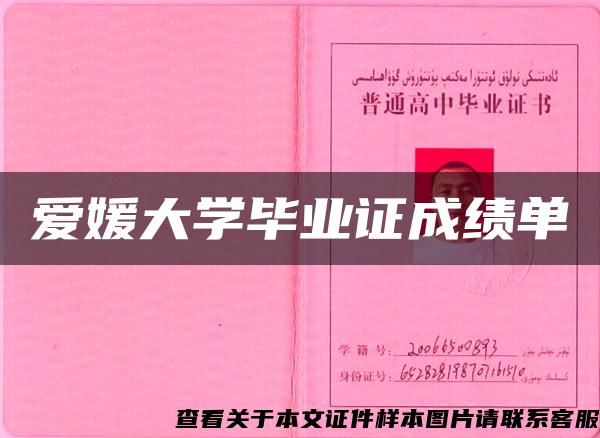 爱媛大学毕业证成绩单