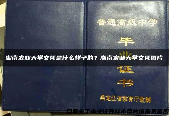 湖南农业大学文凭是什么样子的？湖南农业大学文凭图片