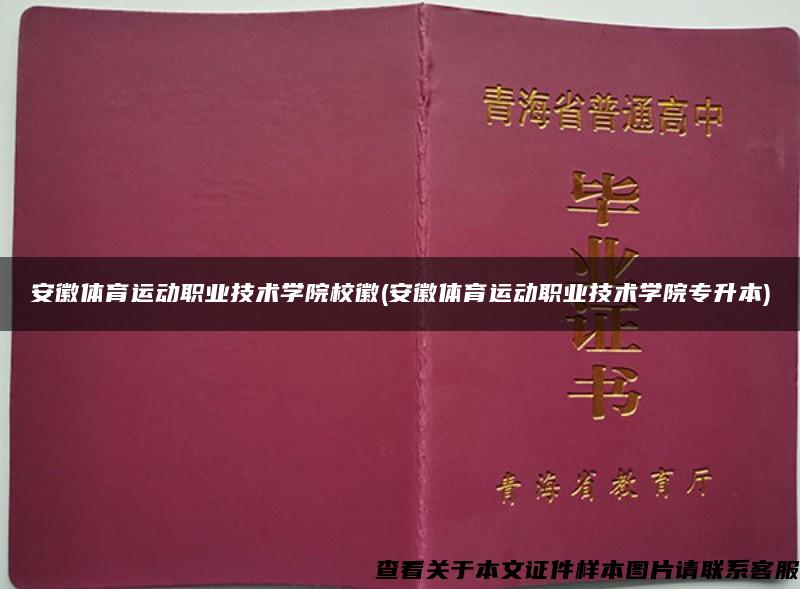 安徽体育运动职业技术学院校徽(安徽体育运动职业技术学院专升本)