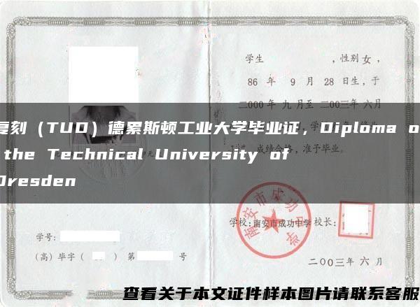 复刻（TUD）德累斯顿工业大学毕业证，Diploma of the Technical University of Dresden