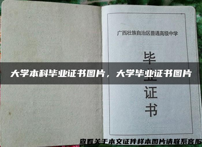 大学本科毕业证书图片，大学毕业证书图片