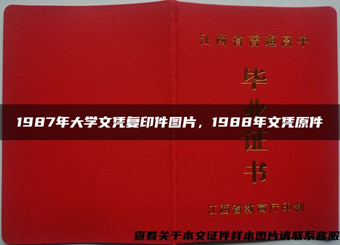 1987年大学文凭复印件图片，1988年文凭原件