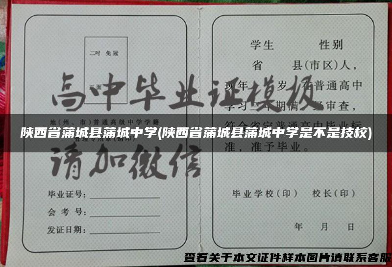 陕西省蒲城县蒲城中学(陕西省蒲城县蒲城中学是不是技校)