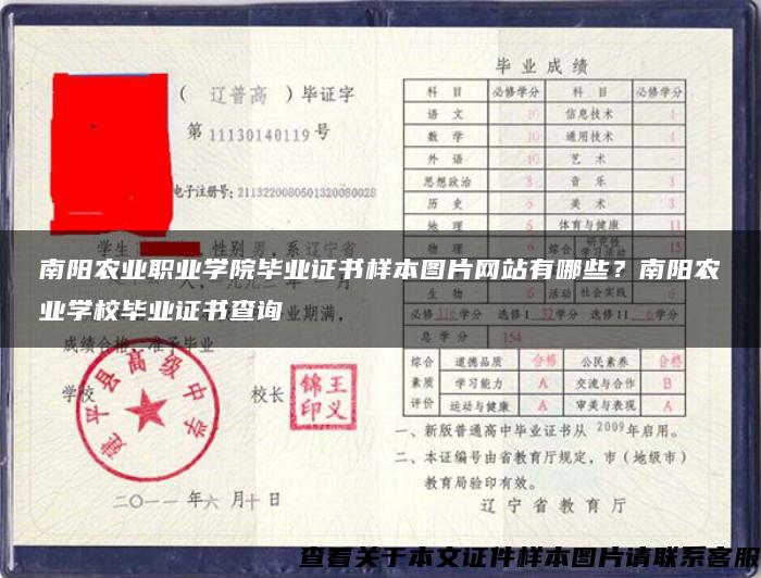 南阳农业职业学院毕业证书样本图片网站有哪些？南阳农业学校毕业证书查询