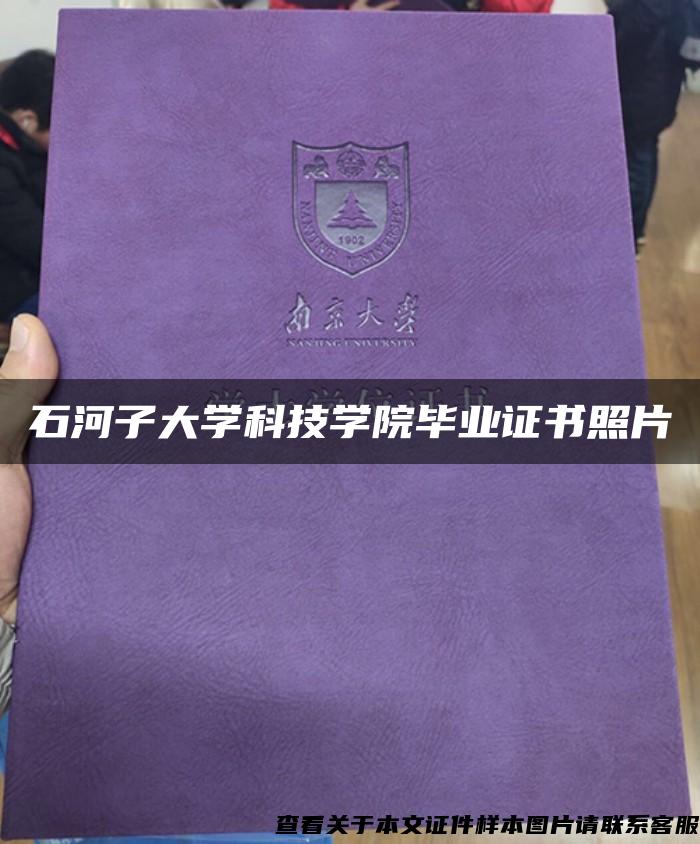 石河子大学科技学院毕业证书照片