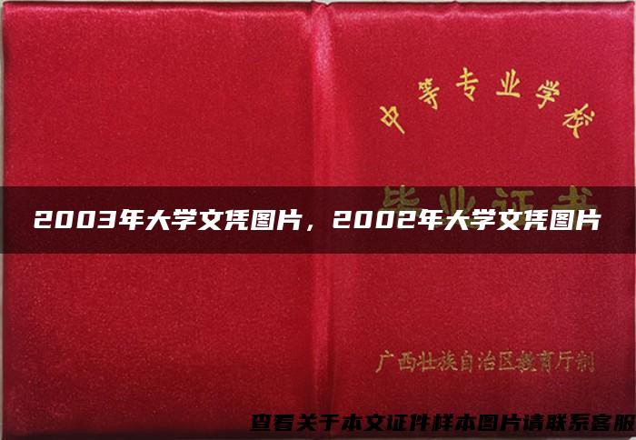 2003年大学文凭图片，2002年大学文凭图片