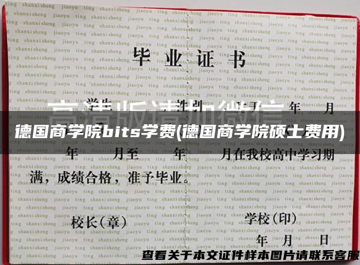 德国商学院bits学费(德国商学院硕士费用)