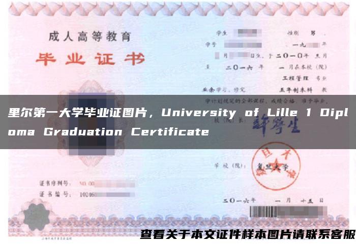 里尔第一大学毕业证图片，University of Lille 1 Diploma Graduation Certificate