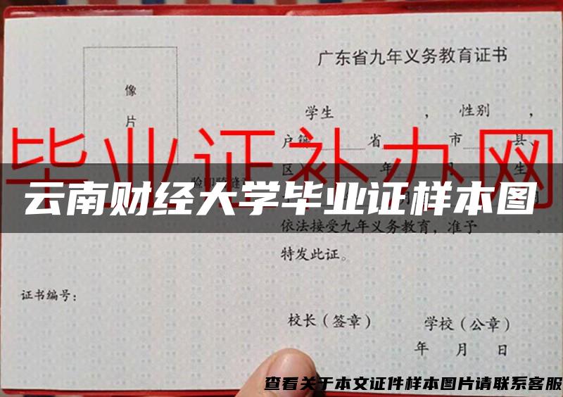 云南财经大学毕业证样本图