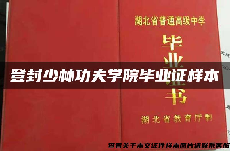 登封少林功夫学院毕业证样本