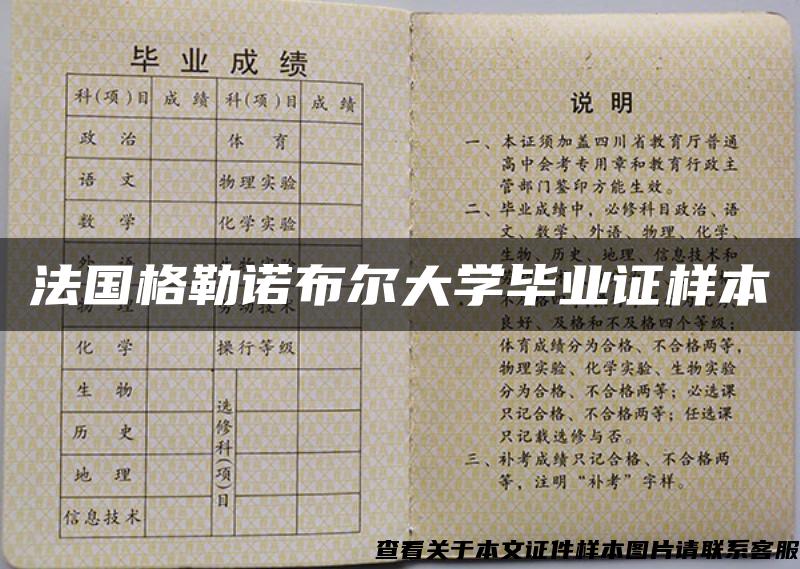 法国格勒诺布尔大学毕业证样本