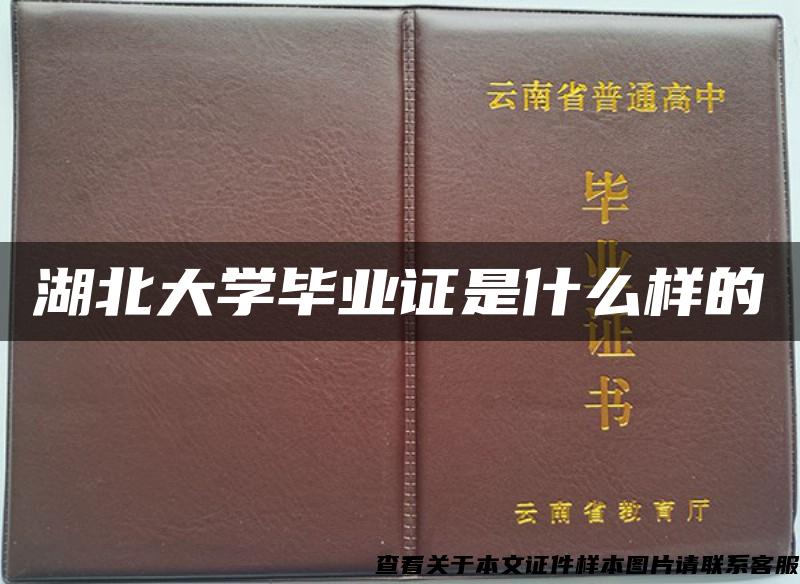 湖北大学毕业证是什么样的