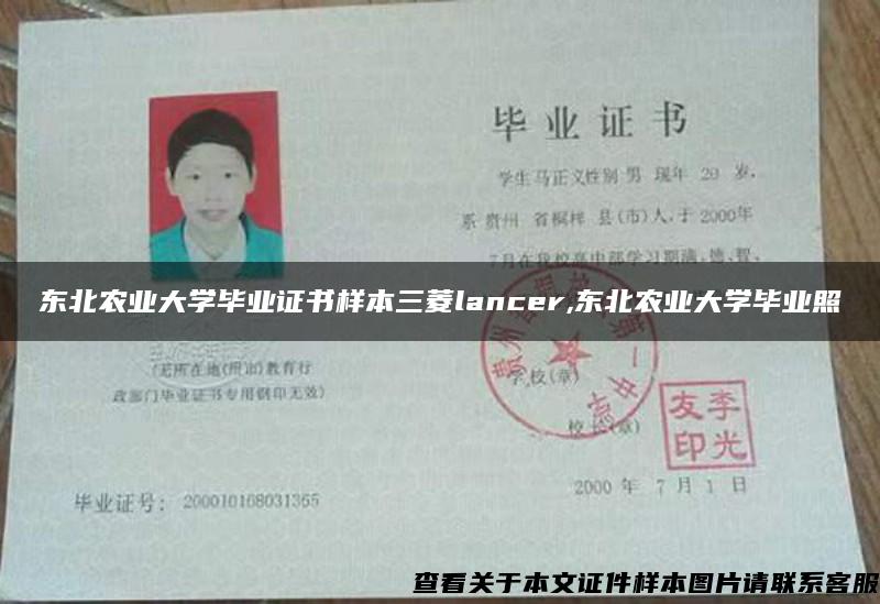 东北农业大学毕业证书样本三菱lancer,东北农业大学毕业照