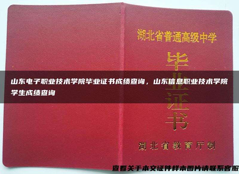 山东电子职业技术学院毕业证书成绩查询，山东信息职业技术学院学生成绩查询
