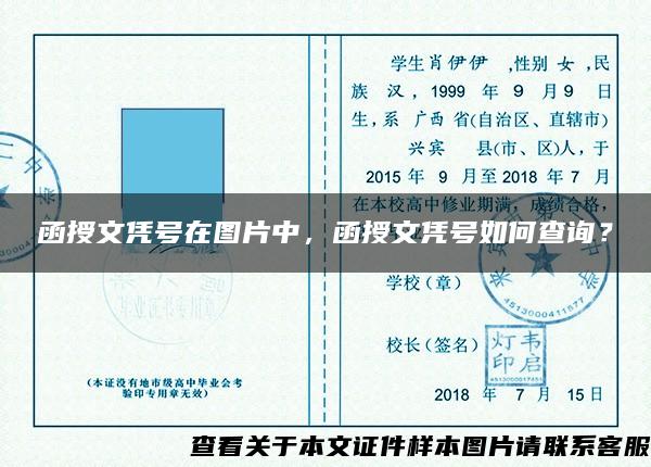 函授文凭号在图片中，函授文凭号如何查询？