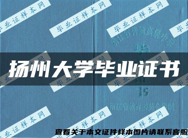 扬州大学毕业证书