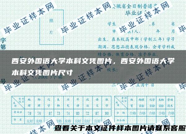 西安外国语大学本科文凭图片，西安外国语大学本科文凭图片尺寸