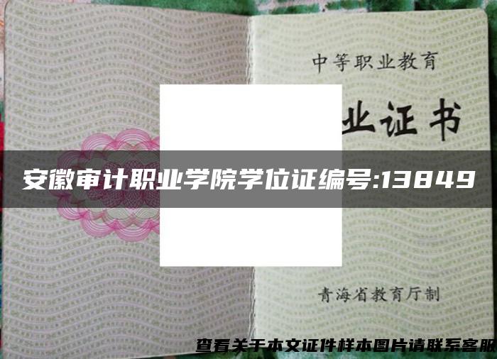 安徽审计职业学院学位证编号:13849