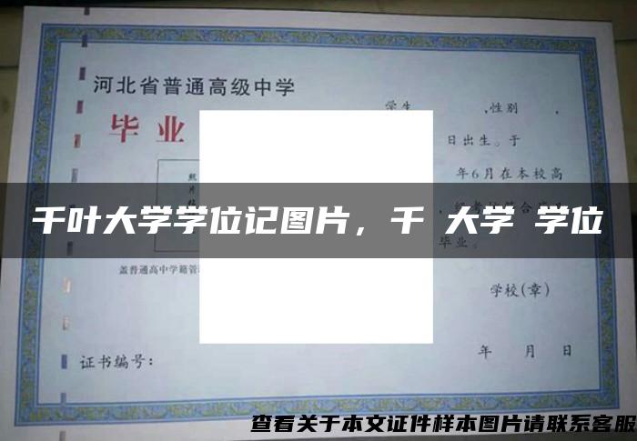 千叶大学学位记图片，千葉大学の学位記