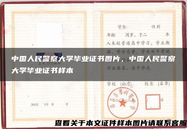 中国人民警察大学毕业证书图片，中国人民警察大学毕业证书样本