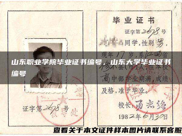 山东职业学院毕业证书编号，山东大学毕业证书编号