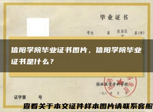 信阳学院毕业证书图片，信阳学院毕业证书是什么？