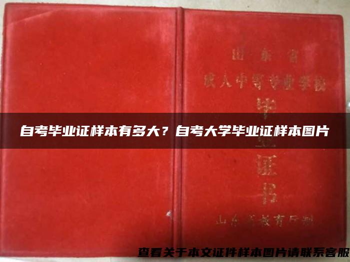 自考毕业证样本有多大？自考大学毕业证样本图片