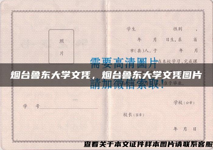 烟台鲁东大学文凭，烟台鲁东大学文凭图片