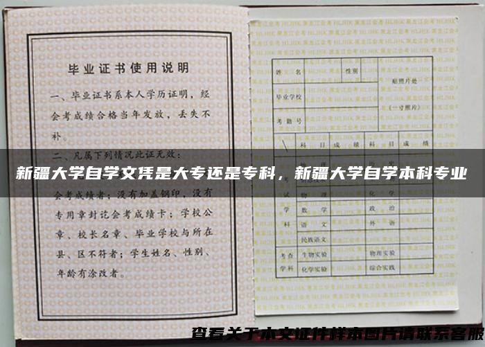 新疆大学自学文凭是大专还是专科，新疆大学自学本科专业