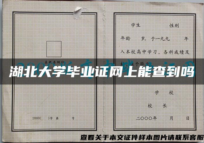 湖北大学毕业证网上能查到吗